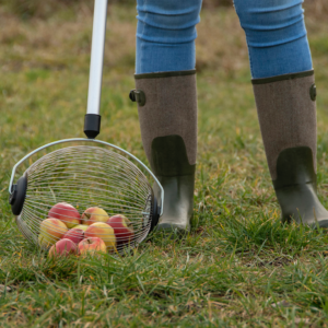 Eschert Design Fruitverzamelaar/Fruitraper - Afbeelding 3