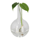 Esschert Design Platbodemkolf L (AGG149 8714982273605) - 2
