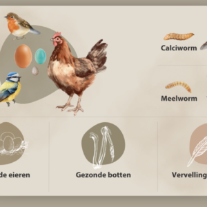 Esschert Design gedroogde calciwormen 0,7 kg in emmer - Afbeelding 2