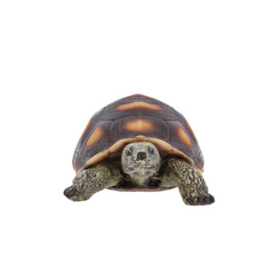 Esschert Design Schildpad M (37000670 8713968379638) - 01