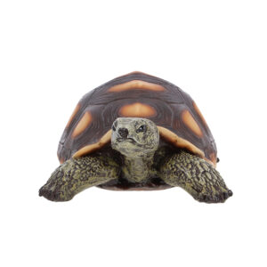Esschert Design Schildpad L (37000671 8713968379645) - 01