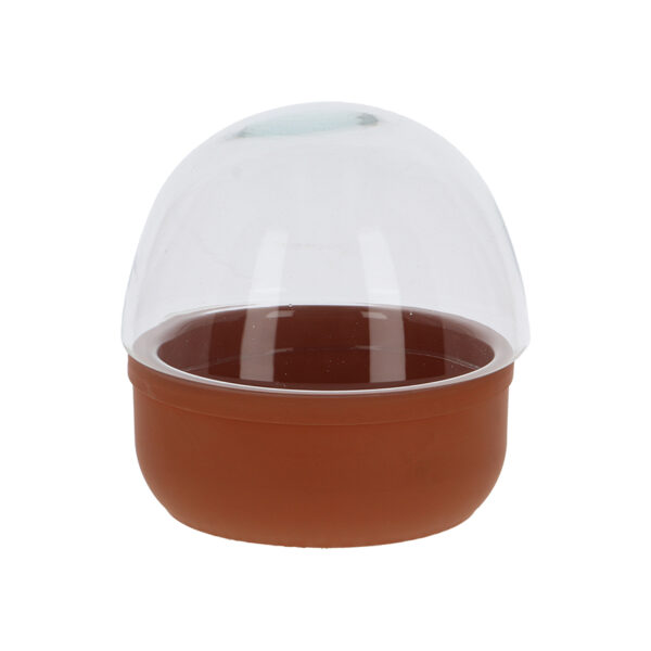Esschert Design Terrarium plantenbak S (AGG159 8714982290831) - 01