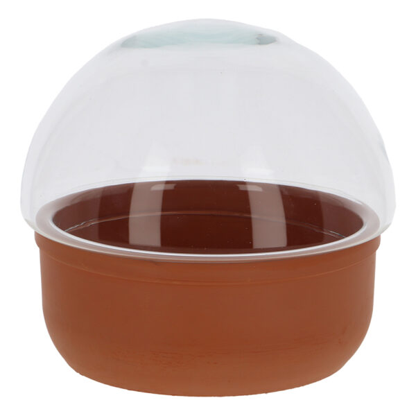 Esschert Design Terrarium plantenbak L (AGG160 8714982290848) - 01