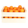 Esschert Design Sinaasappel (AH043 8714982291852) - 01