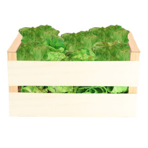 Esschert Design Sla (AH045 8714982291876) - 01