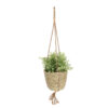 Esschert Design Indoor hanging basket ø 15 cm (BPH213 8714982289293) - 02