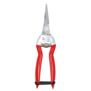 Esschert Design Oogstsnoeischaar (GT382 8714982288203) - 01