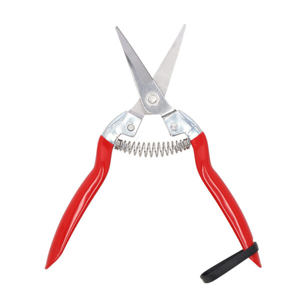 Esschert Design Oogstsnoeischaar (GT382 8714982288203) - 02
