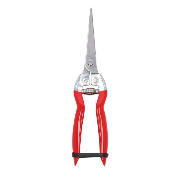 Esschert Design Uitdunschaar (GT383 8714982288210) - 01