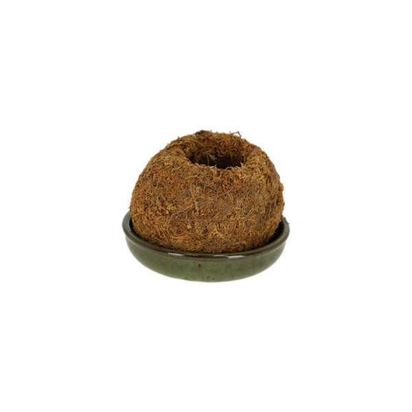Esschert Design Kokedama schotel groen S (JP025 8714982291043) - 02