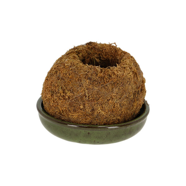 Esschert Design Kokedama schotel groen M (JP026 8714982291050) - 02