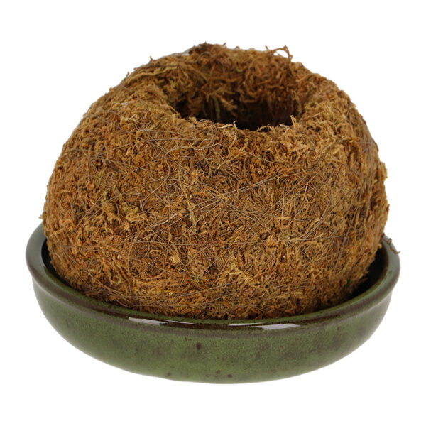 Esschert Design Kokedama schotel groen L (JP027 8714982291067) - 02