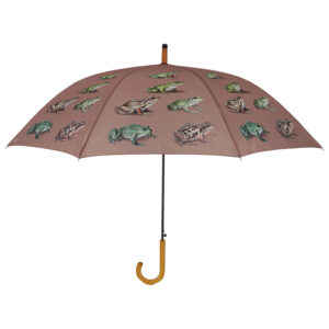 Esschert Design Paraplu kikkersoorten (TP455 8714982290893) - 01