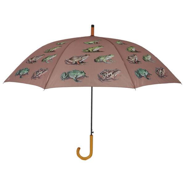 Esschert Design Paraplu kikkersoorten (TP455 8714982290893) - 01