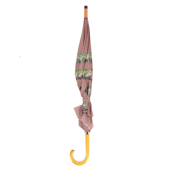 Esschert Design Paraplu kikkersoorten (TP455 8714982290893) - 03