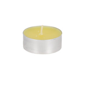 Esschert Design Citronella waxinelichtjes set/4 L (FF658 8714982292934) - 01
